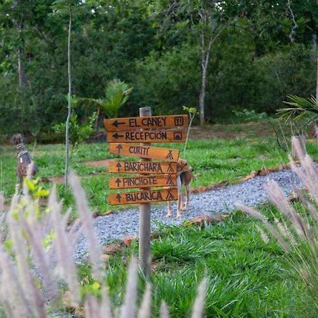 ホテル Nativo Glamping バリチャラ エクステリア 写真