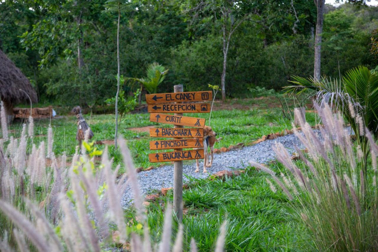 ホテル Nativo Glamping バリチャラ エクステリア 写真