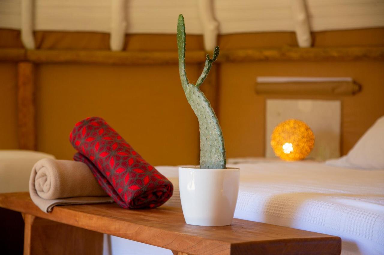 ホテル Nativo Glamping バリチャラ エクステリア 写真