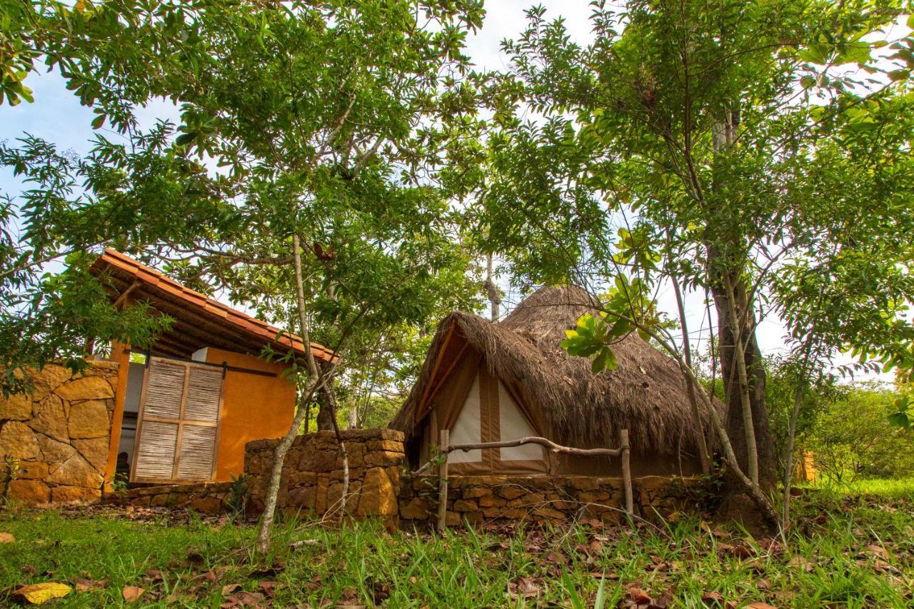 ホテル Nativo Glamping バリチャラ エクステリア 写真