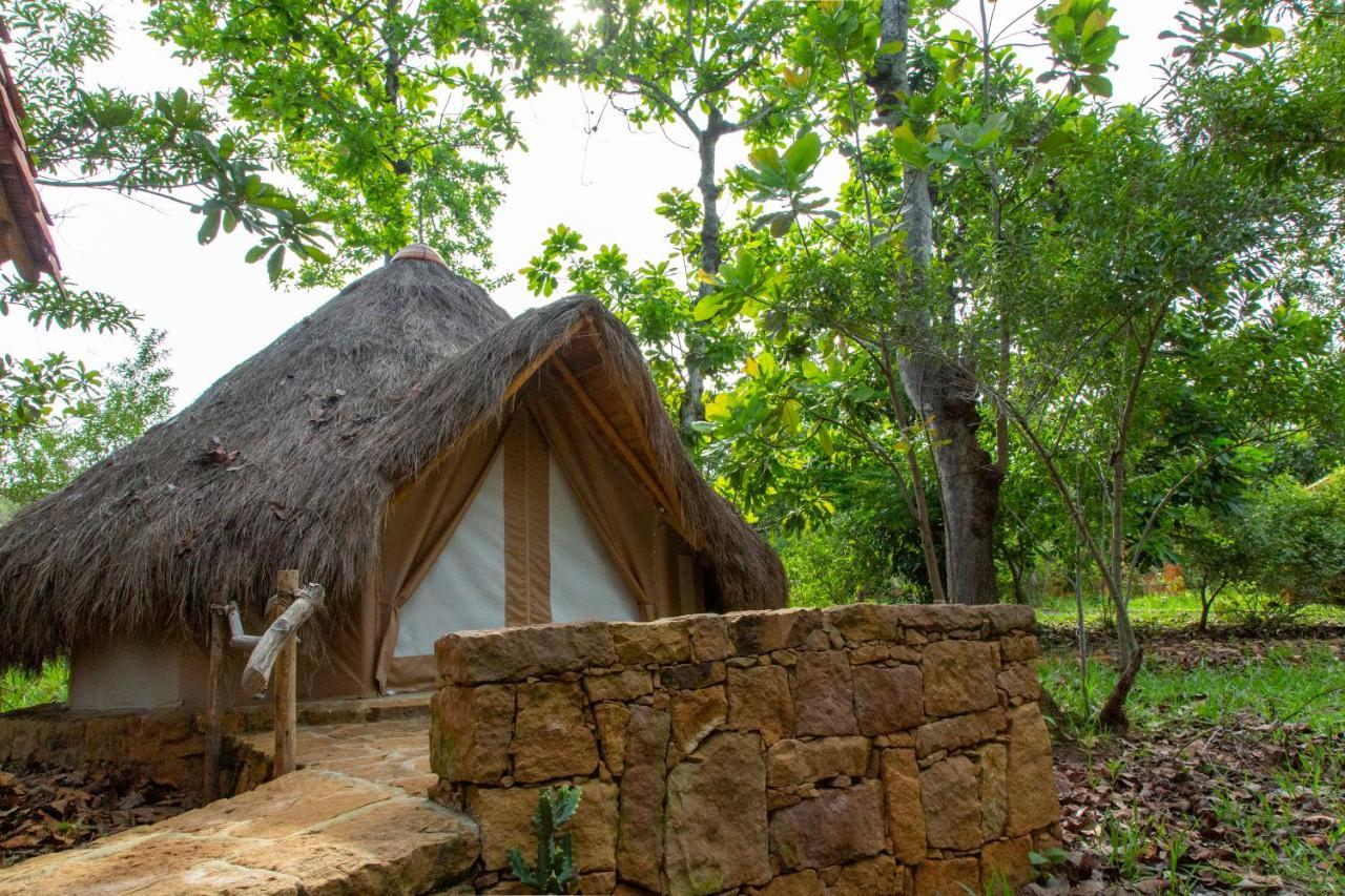 ホテル Nativo Glamping バリチャラ エクステリア 写真